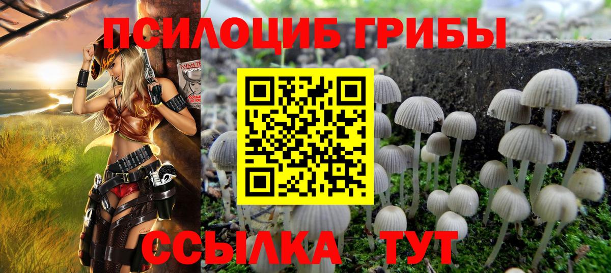 Галлюциногенные грибы Psilocybe Сосновоборск